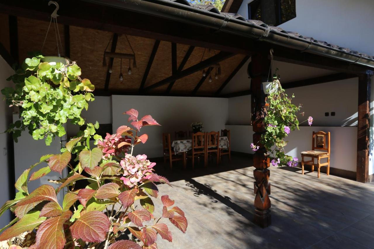 Casa Morii Ohaba Exterior foto