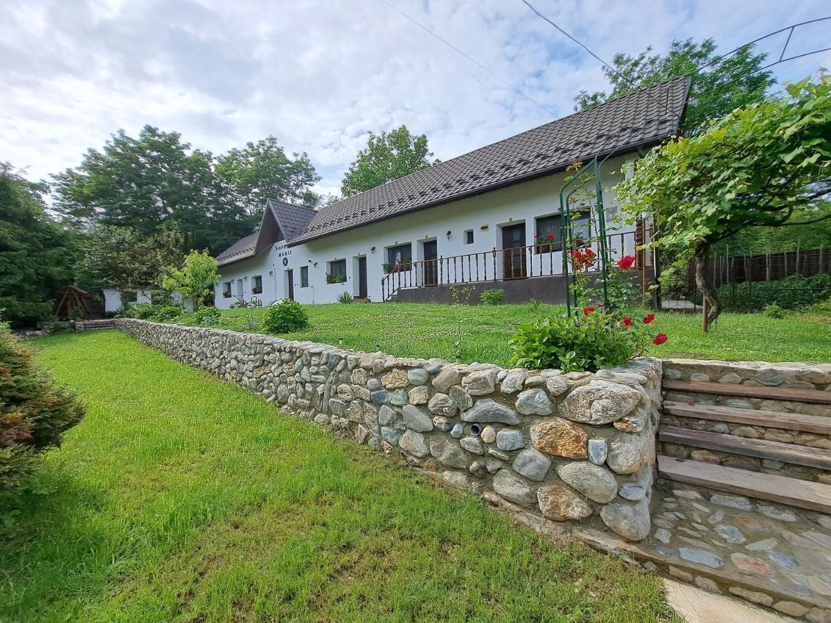 Casa Morii Ohaba Exterior foto